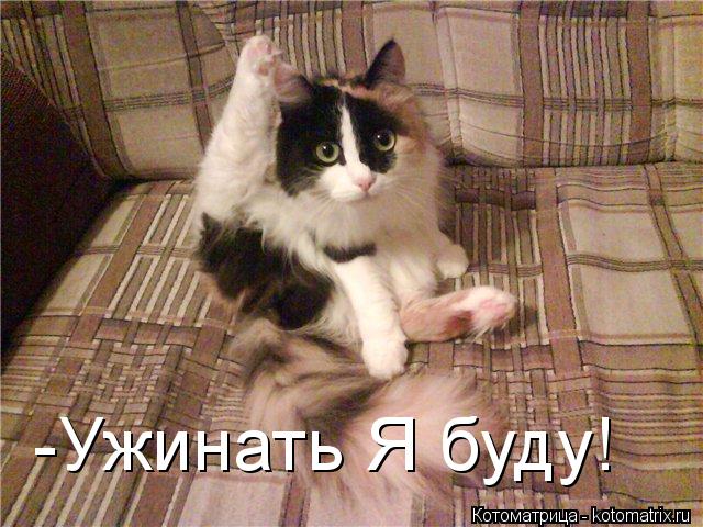 -Ужинать Я буду!... Котоматрица: -Ужинать Я буду!