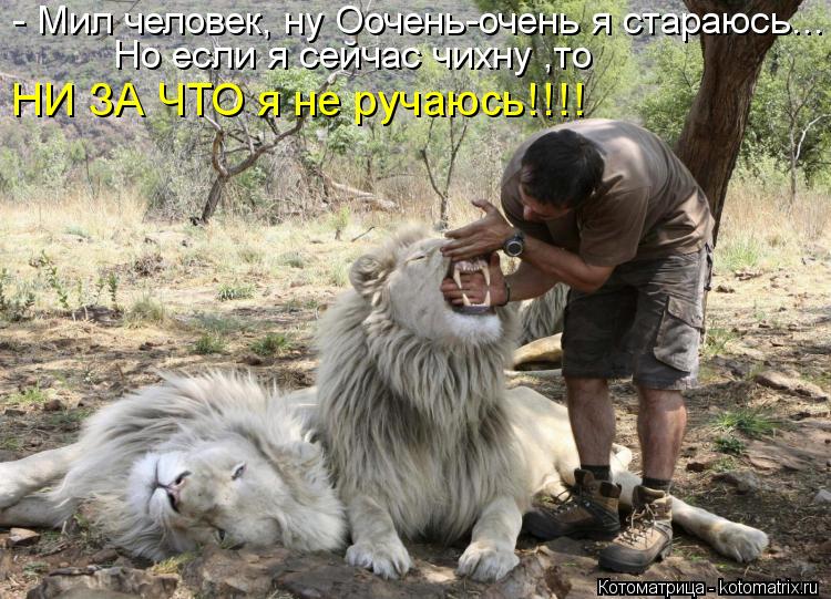 Но если я сейчас чихну ,то - Мил человек, ну Оочень-очень я стараюсь... НИ ЗА ЧТО я не ручаюсь!!!!... Котоматрица: Но если я сейчас чихну ,то - Мил человек, ну Оочень-очень я стараюсь... НИ ЗА ЧТО я не ручаюсь!!!!