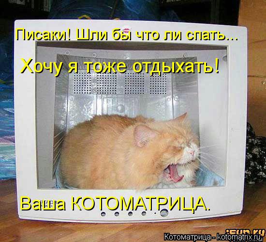 Котоматрица: Писаки! Шли бы что ли спать... Хочу я тоже отдыхать! Ваша КОТОМАТРИЦА.