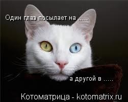 Котоматрица: Один глаз посылает на ..... а другой в .....