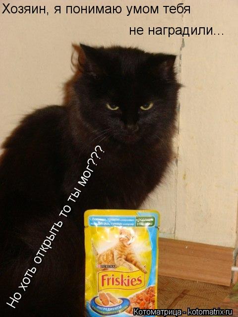 Хозяин, я понимаю умом тебя не наградили... Но хоть открыть то ты мог???... Котоматрица: Хозяин, я понимаю умом тебя не наградили... Но хоть открыть то ты мог???