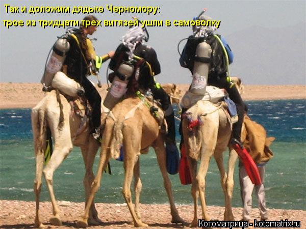 Так и доложим дядьке Черномору: трое из тридцати трех витязей ушли в самоволку... Котоматрица: Так и доложим дядьке Черномору: трое из тридцати трех витязей ушли в самоволку