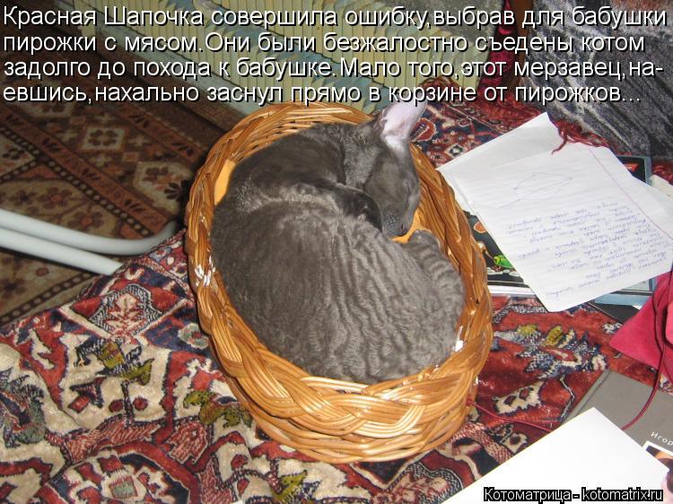 Котоматрица: Красная Шапочка совершила ошибку,выбрав для бабушки пирожки с мясом.Они были безжалостно съедены котом задолго до похода к бабушке.Мало то