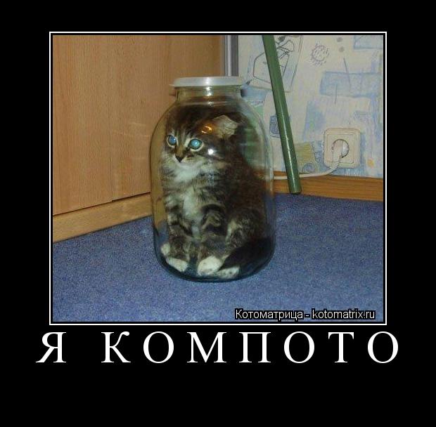 Я компото ... Котоматрица: Я компото