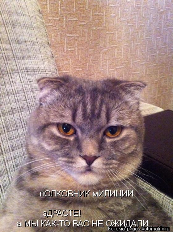 пОЛКОВНИК мИЛИЦИИ зДРАСТЕ! а МЫ КАК-ТО ВАС НЕ ОЖИДАЛИ...... Котоматрица: пОЛКОВНИК мИЛИЦИИ зДРАСТЕ! а МЫ КАК-ТО ВАС НЕ ОЖИДАЛИ...