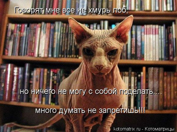 Говорят мне все не хмурь лоб, но ничего не могу с собой поделать.... много думать не запретишь!!!... Котоматрица: Говорят мне все не хмурь лоб, но ничего не могу с собой поделать.... много думать не запретишь!!!
