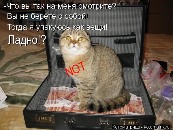 -Что вы так на меня смотрите? Вы не берёте с собой! Тогда я упакуюсь,как вещи! NOT Ладно!?... Котоматрица: -Что вы так на меня смотрите? Вы не берёте с собой! Тогда я упакуюсь,как вещи! NOT Ладно!?