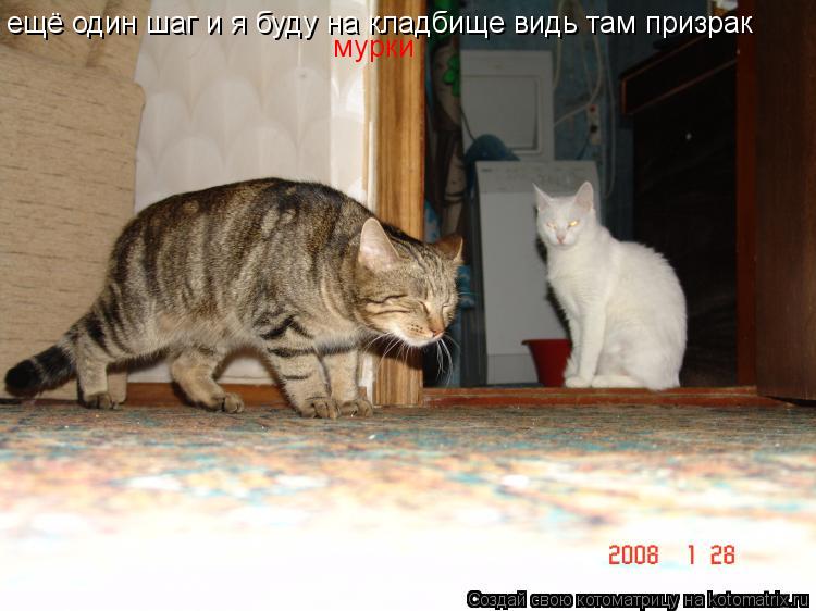 ещё один шаг и я буду на кладбище видь там призрак мурки... Котоматрица: ещё один шаг и я буду на кладбище видь там призрак мурки