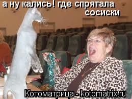 а ну кались! где спрятала сосиски... Котоматрица: а ну кались! где спрятала сосиски