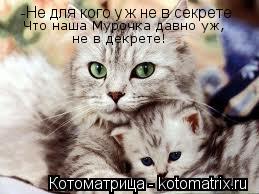 -Не для кого у ж не в секрете Что наша Мурочка давно уж, не в декрете!... Котоматрица: -Не для кого у ж не в секрете Что наша Мурочка давно уж, не в декрете!
