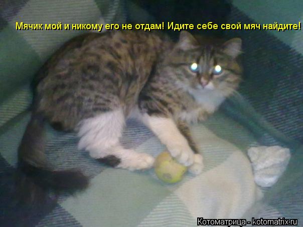 Котоматрица: Мячик мой и никому его не отдам! Идите себе свой мяч найдите!