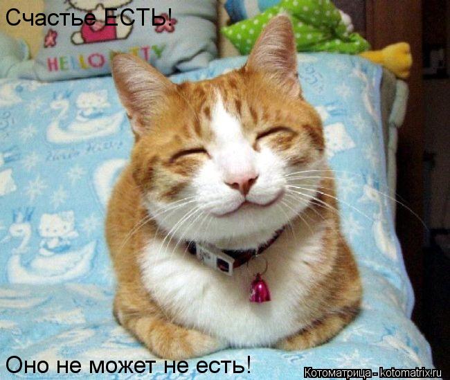 Котоматрица: Счастье ЕСТЬ! Оно не может не есть!