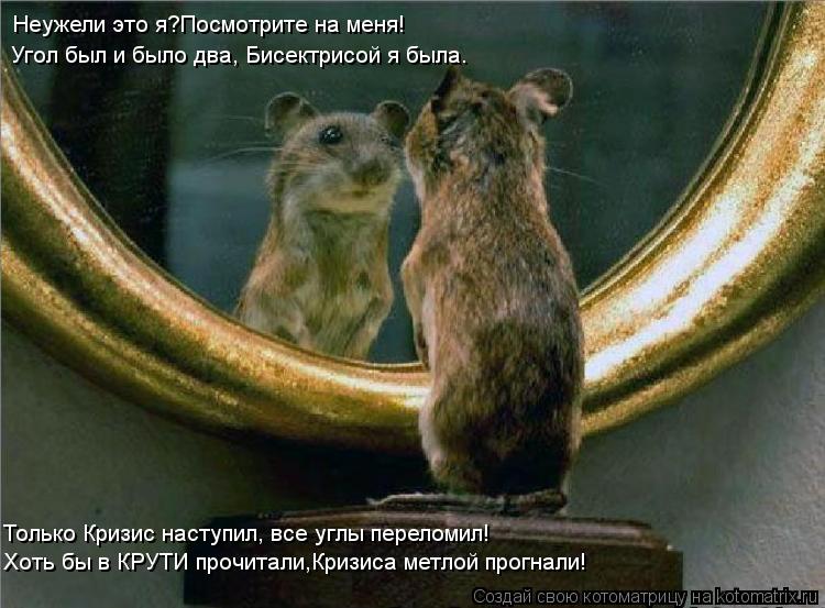 Неужели это я?Посмотрите на меня! Угол был и было два, Бисектрисой я была. Хоть бы в КРУТИ прочитали,... Котоматрица: Неужели это я?Посмотрите на меня! Угол был и было два, Бисектрисой я была. Хоть бы в КРУТИ прочитали,Кризиса метлой прогнали! Только Кризис н