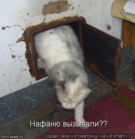 Котоматрица: Нафаню вызывали??