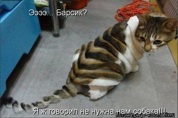 Ээээ... Барсик? Ээээ... Барсик? Я ж говорил не нужна нам собака Я ж говорил не нужна нам собака!!!... Котоматрица: Ээээ... Барсик? Ээээ... Барсик? Я ж говорил не нужна нам собака Я ж говорил не нужна нам собака!!!