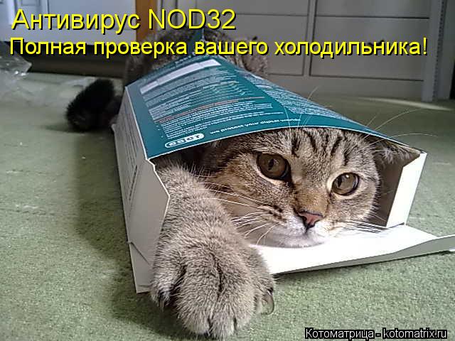 Антивирус NOD32 Полная проверка вашего холодильника!... Котоматрица: Антивирус NOD32 Полная проверка вашего холодильника!