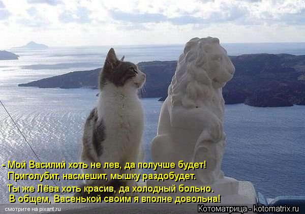 Котоматрица: - Мой Василий хоть не лев, да получше будет! Приголубит, насмешит, мышку раздобудет. Ты же Лёва хоть красив, да холодный больно… В общем, Васе