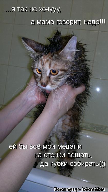 ...я так не хочууу, а мама говорит, надо!!! ей бы всё мои медали на стенки вешать, да кубки соби... Котоматрица: ...я так не хочууу, а мама говорит, надо!!! ей бы всё мои медали на стенки вешать, да кубки собирать(((