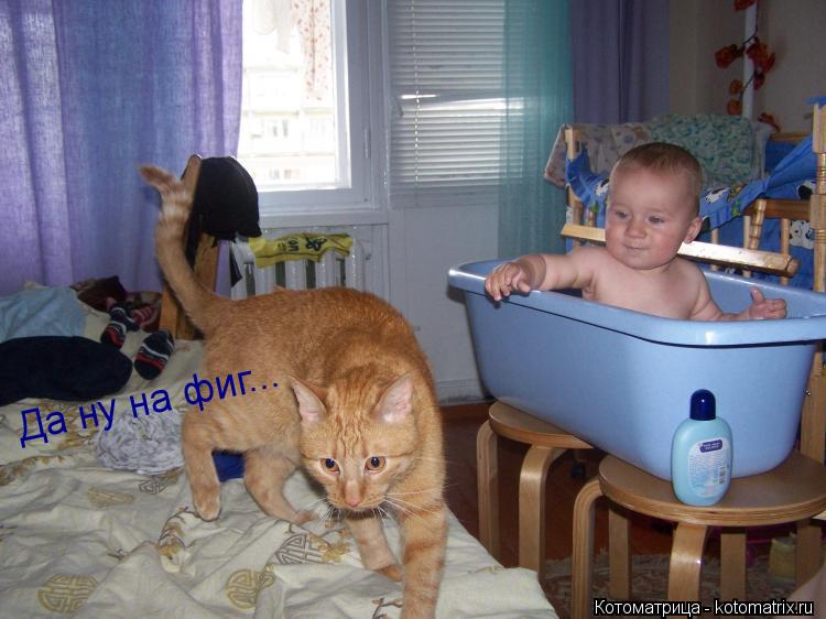 Да ну на фиг...... Котоматрица: Да ну на фиг...