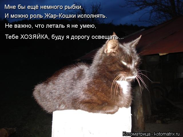 Мне бы ещё немного рыбки, И можно роль Жар-Кошки исполнять. Не важно, что леталь я не умею, Тебе ХОЗЯ... Котоматрица: Мне бы ещё немного рыбки, И можно роль Жар-Кошки исполнять. Не важно, что леталь я не умею, Тебе ХОЗЯЙКА, буду я дорогу освещать...