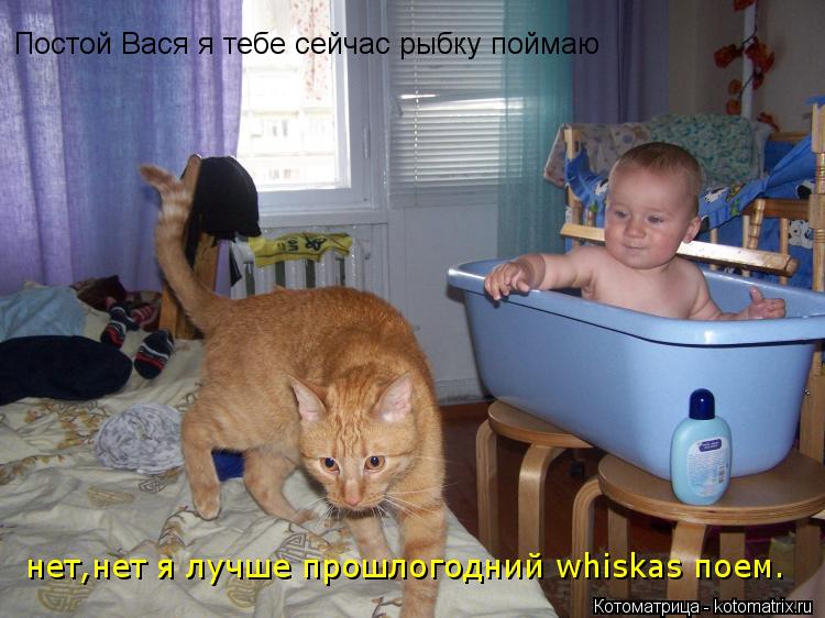 Постой Вася я тебе сейчас рыбку поймаю нет,нет я лучше прошлогодний whiskas поем.... Котоматрица: Постой Вася я тебе сейчас рыбку поймаю нет,нет я лучше прошлогодний whiskas поем.