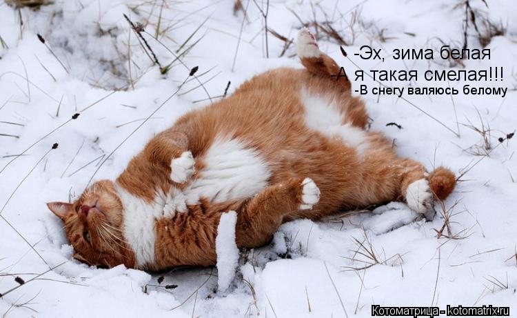 -Эх, зима белая -А я такая смелая!!! -В снегу валяюсь белому... Котоматрица: -Эх, зима белая -А я такая смелая!!! -В снегу валяюсь белому