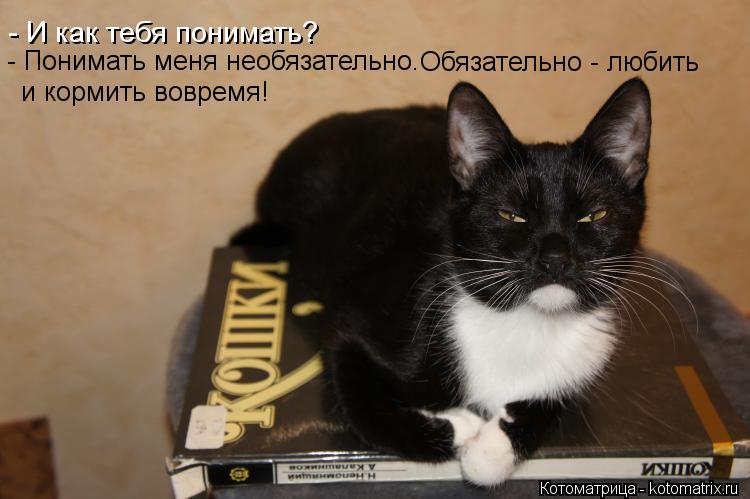 - И как тебя понимать? - Понимать меня необязательно. Обязательно - любить и кормить вовремя!... Котоматрица: - И как тебя понимать? - Понимать меня необязательно. Обязательно - любить и кормить вовремя!