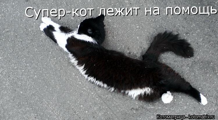 Супер-кот лежит на помощь Супер-кот лежит на помощь... Котоматрица: Супер-кот лежит на помощь Супер-кот лежит на помощь