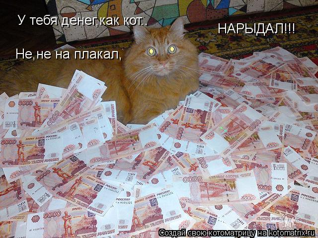 У тебя денег,как кот.. Не,не на плакал, НАРЫДАЛ!!!... Котоматрица: У тебя денег,как кот.. Не,не на плакал, НАРЫДАЛ!!!