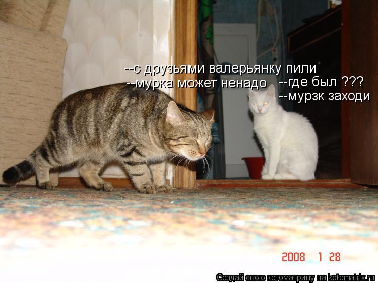 --где был ??? --с друзьями валерьянку пили --мурзк заходи --мурка может ненадо... Котоматрица: --где был ??? --с друзьями валерьянку пили --мурзк заходи --мурка может ненадо