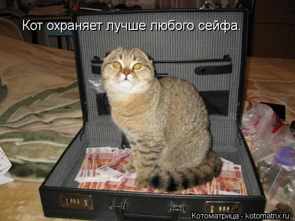 Кот охраняет лучше любого сейфа.... Котоматрица: Кот охраняет лучше любого сейфа.
