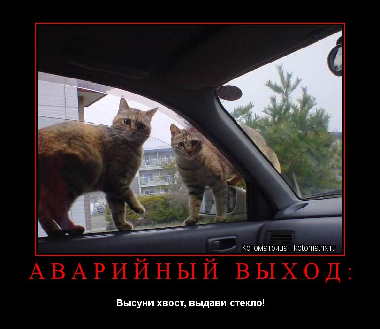 Котоматрица: Аварийный выход: Высуни хвост, выдави стекло!