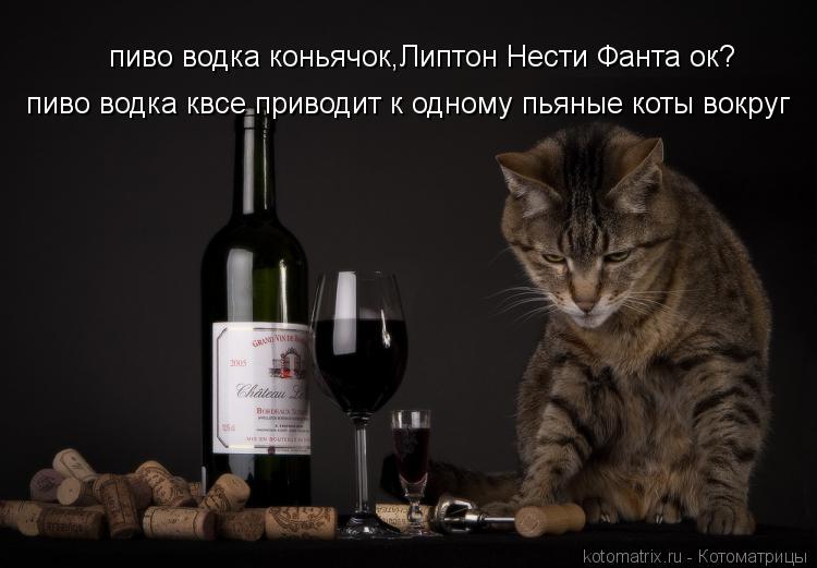 пиво водка коньячок,Липтон Нести Фанта ок? пиво водка квсе приводит к одному пьяные коты вокруг... Котоматрица: пиво водка коньячок,Липтон Нести Фанта ок? пиво водка квсе приводит к одному пьяные коты вокруг