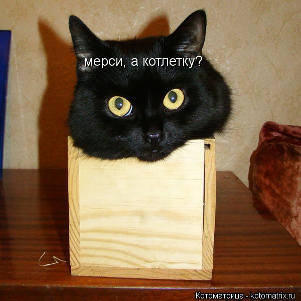 мерси, а котлетку?... Котоматрица: мерси, а котлетку?