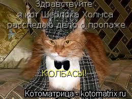 Здравствуйте я кот Шерлока Холмса расследаю дело о пропаже КОЛБАСЫ!... Котоматрица: Здравствуйте я кот Шерлока Холмса расследаю дело о пропаже КОЛБАСЫ!