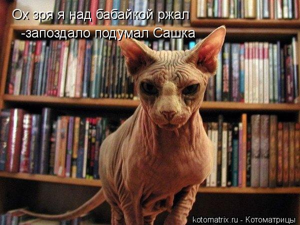 Ох зря я над бабайкой ржал -запоздало подумал Сашка... Котоматрица: Ох зря я над бабайкой ржал -запоздало подумал Сашка