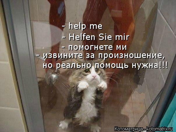 - help me - Helfen Sie mir - помогнете ми - извините за произношение, но реально помощь нужна!!!... Котоматрица: - help me - Helfen Sie mir - помогнете ми - извините за произношение, но реально помощь нужна!!!