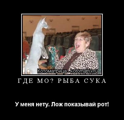 Где моя рыба сука У меня нету. Лож показывай рот!... Котоматрица: Где моя рыба сука У меня нету. Лож показывай рот!