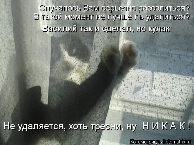 Случалось Вам серьезно разозлиться? В такой момент не лучше ль удалиться? Не удаляется, хоть тресни, ... Котоматрица: Случалось Вам серьезно разозлиться? В такой момент не лучше ль удалиться? Не удаляется, хоть тресни, ну Н И К А К ! Василий так и сделал, но ку
