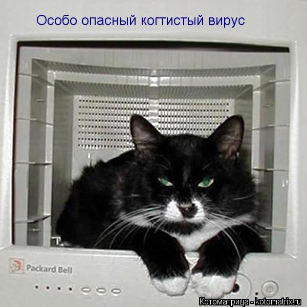 Особо опасный когтистый вирус... Котоматрица: Особо опасный когтистый вирус