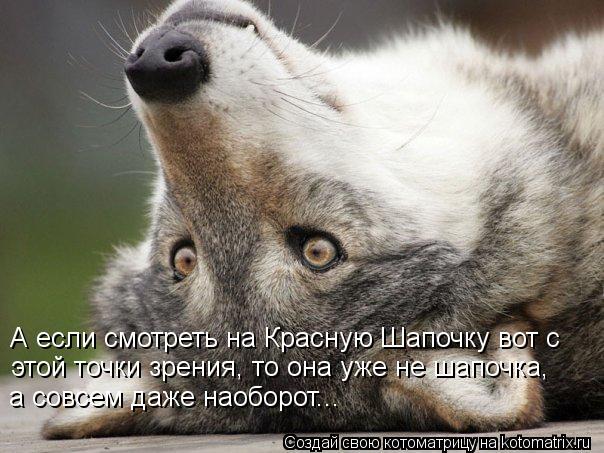 А если смотреть на Красную Шапочку вот с этой точки зрения, то она уже не шапочка, а совсем даже нао... Котоматрица: А если смотреть на Красную Шапочку вот с этой точки зрения, то она уже не шапочка, а совсем даже наоборот...