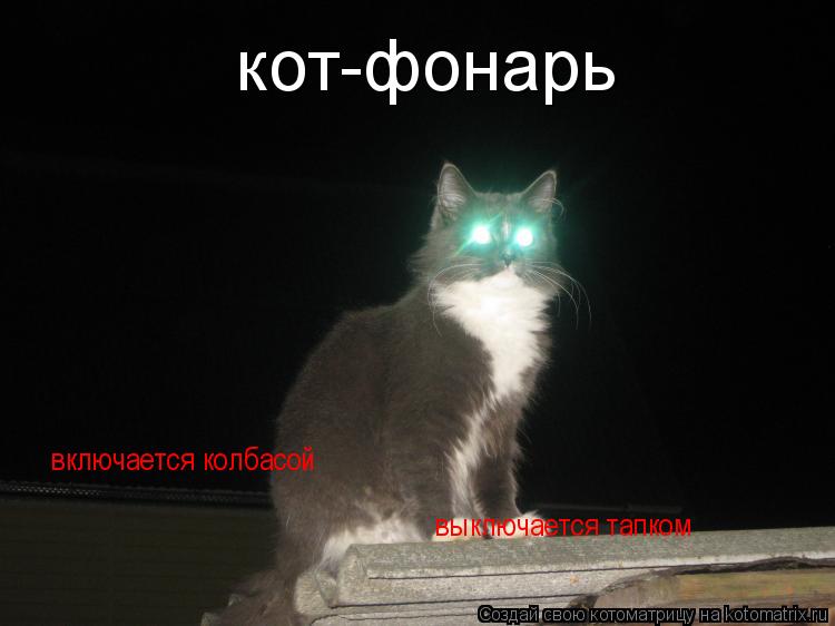кот-фонарь включается колбасой выключается тапком... Котоматрица: кот-фонарь включается колбасой выключается тапком