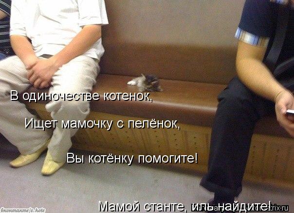В одиночестве котенок, Ищет мамочку с пелёнок, Вы котёнку помогите! Мамой станте, иль найдите!... Котоматрица: В одиночестве котенок, Ищет мамочку с пелёнок, Вы котёнку помогите! Мамой станте, иль найдите!