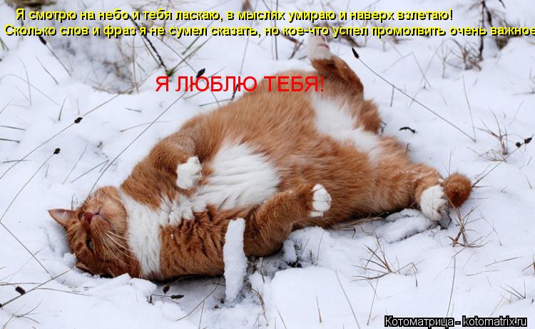 Я смотрю на небо и тебя ласкаю, в мыслях умираю и наверх взлетаю! Сколько слов и фраз я не сумел сказ... Котоматрица: Я смотрю на небо и тебя ласкаю, в мыслях умираю и наверх взлетаю! Сколько слов и фраз я не сумел сказать, но кое-что успел промолвить очень ва