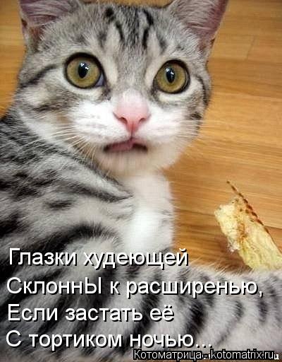Глазки худеющей СклоннЫ к расширенью, Если застать её С тортиком ночью...... Котоматрица: Глазки худеющей СклоннЫ к расширенью, Если застать её С тортиком ночью...