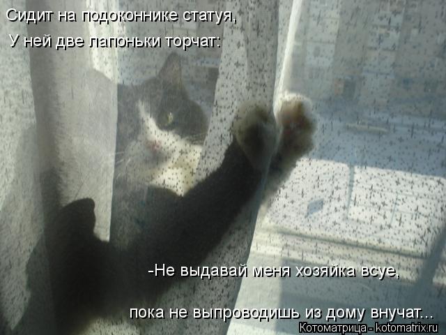 Сидит на подоконнике статуя, У ней две лапоньки торчат: -Не выдавай меня хозяйка всуе, пока не выпров... Котоматрица: Сидит на подоконнике статуя, У ней две лапоньки торчат: -Не выдавай меня хозяйка всуе, пока не выпроводишь из дому внучат...
