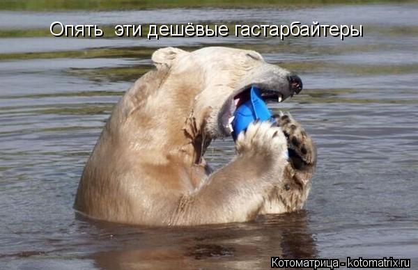 Опять эти дешёвые гастарбайтеры... Котоматрица: Опять эти дешёвые гастарбайтеры