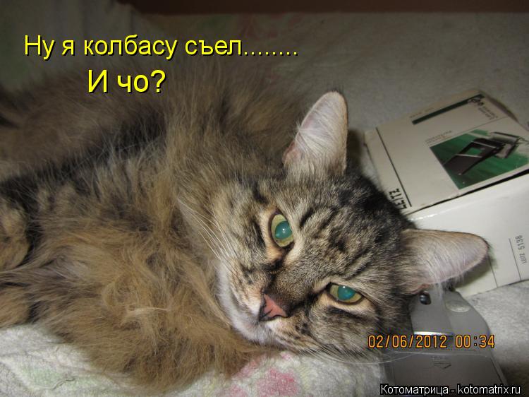 Ну я колбасу съел........ И чо?... Котоматрица: Ну я колбасу съел........ И чо?
