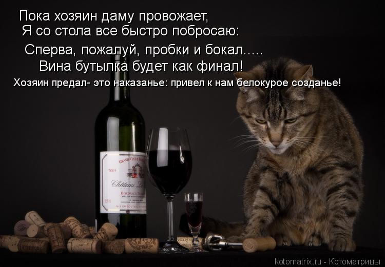 Пока хозяин даму провожает, Я со стола все быстро побросаю: Сперва, пожалуй, пробки и бокал..... Вина... Котоматрица: Пока хозяин даму провожает, Я со стола все быстро побросаю: Сперва, пожалуй, пробки и бокал..... Вина бутылка будет как финал! Хозяин предал- эт