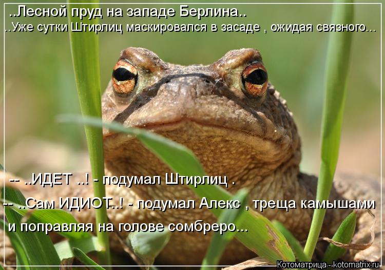 Котоматрица: -- ..ИДЕТ ..! - подумал Штирлиц . -- ..Сам ИДИОТ..! - подумал Алекс , треща камышами   и поправляя на голове сомбреро...   ..Лесной пруд на западе Берлин